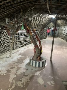 IMG_2096